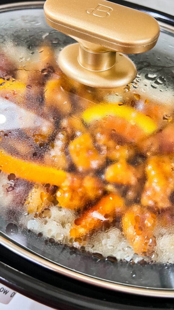 IMG_3584-576x1024 Crockpot Orange Chicken and Rice