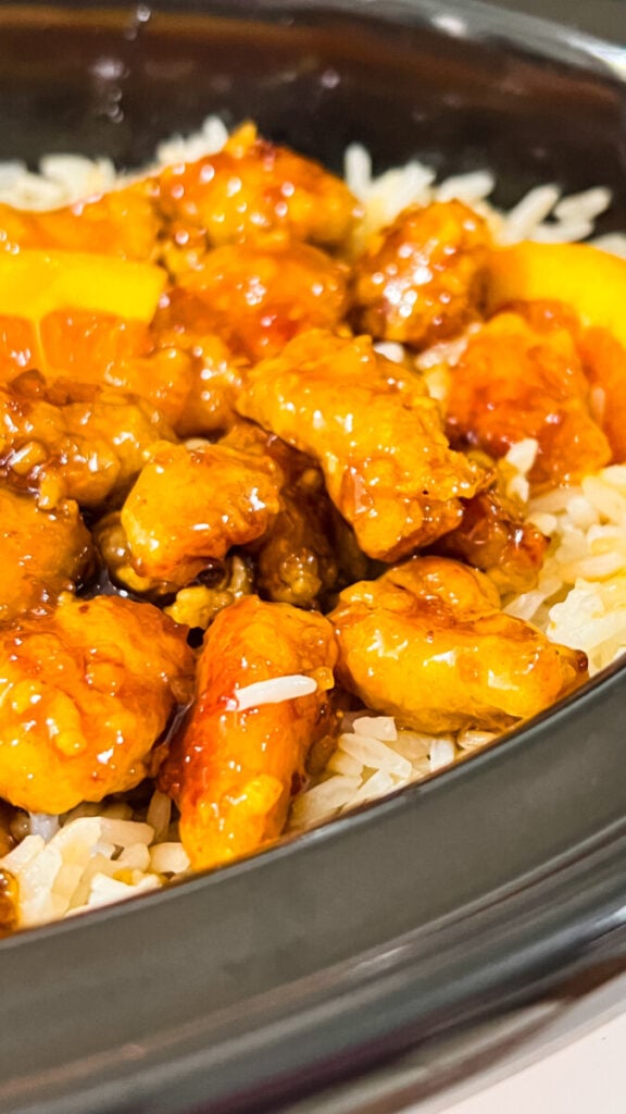 IMG_3606-576x1024 Crockpot Orange Chicken and Rice