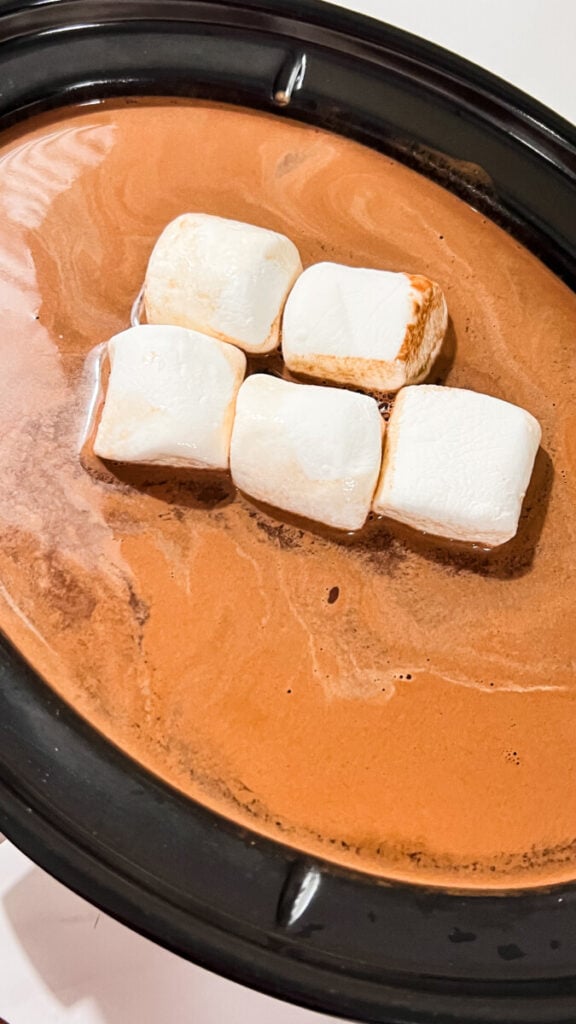  IMG_3656-576x1024 35 Best Crockpot Hot Chocolate Recipes  