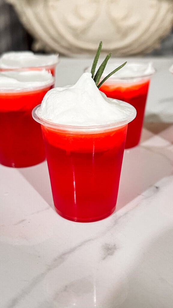 IMG_8926-576x1024 Christmas Punch Jello Shots