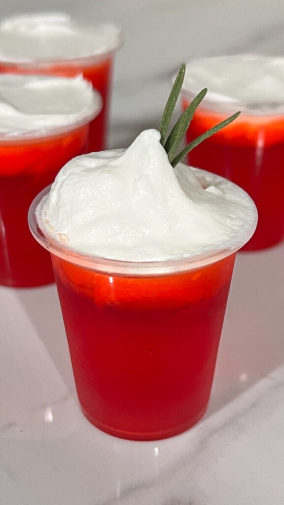 IMG_8928-576x1024 Christmas Punch Jello Shots