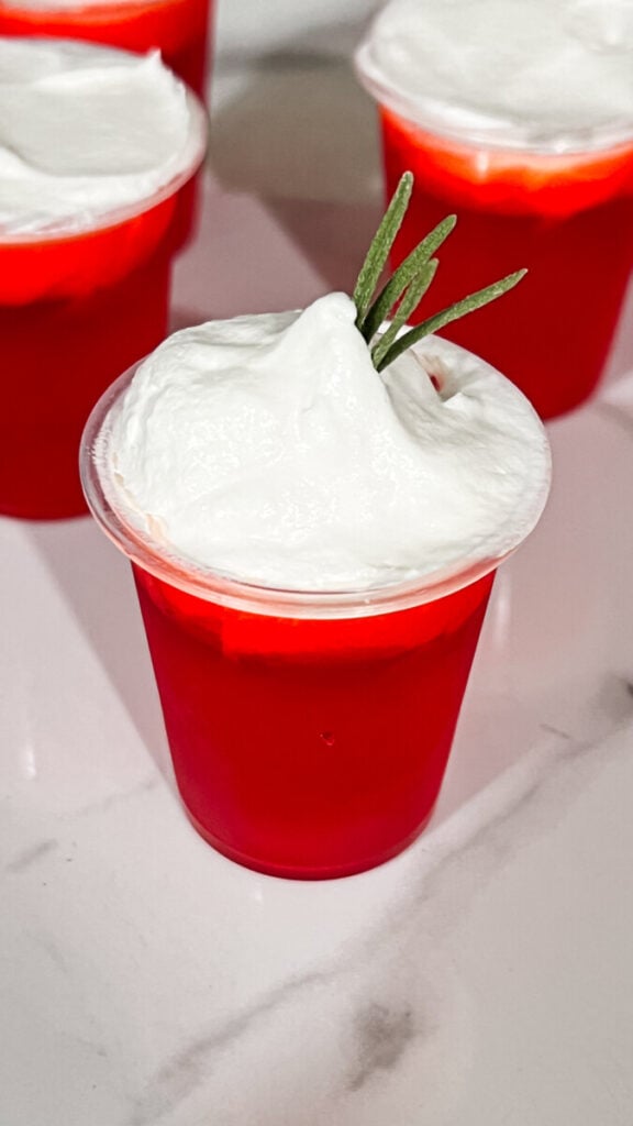 IMG_8932-576x1024 Christmas Punch Jello Shots