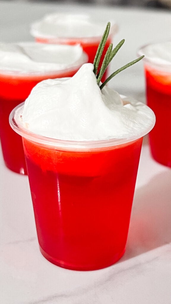 IMG_8940-576x1024 Christmas Punch Jello Shots