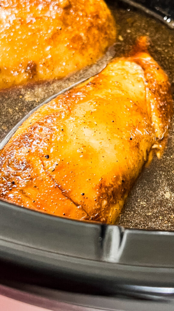IMG_9997-576x1024 Crockpot Saucy Chicken
